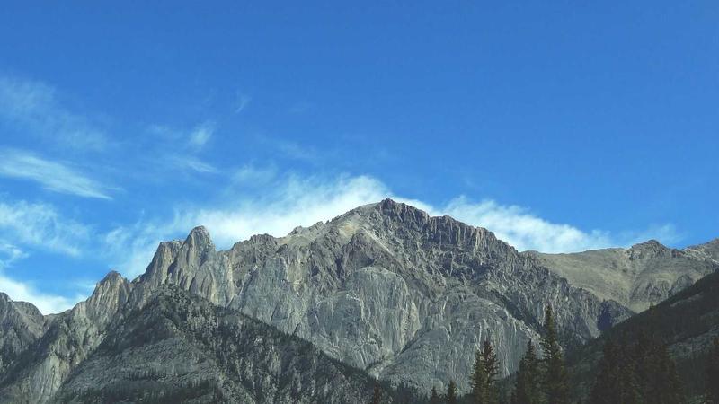 top1体育团队风采展示